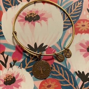 Alex and Ani Tree of Life Bracelet